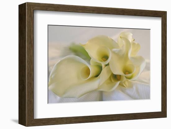 Calla Lily-Anna Miller-Framed Photographic Print