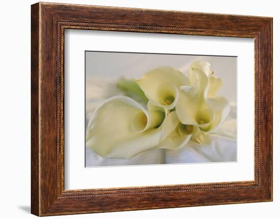 Calla Lily-Anna Miller-Framed Photographic Print