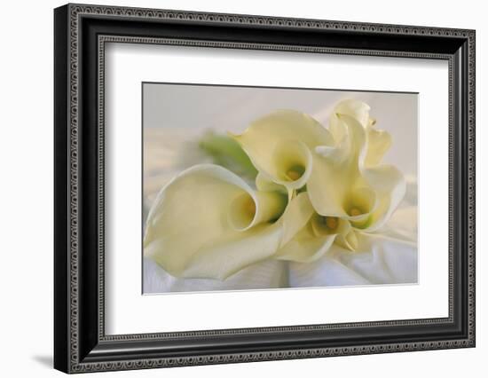 Calla Lily-Anna Miller-Framed Photographic Print