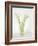 Calla Lily-Anna Miller-Framed Photographic Print