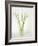 Calla Lily-Anna Miller-Framed Photographic Print