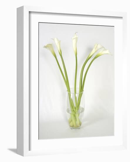 Calla Lily-Anna Miller-Framed Photographic Print