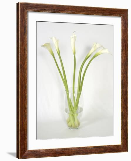 Calla Lily-Anna Miller-Framed Photographic Print