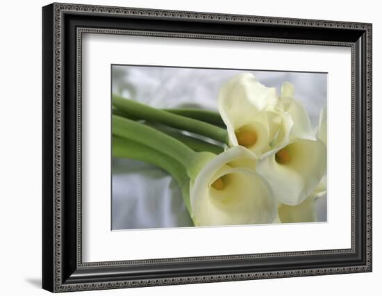 Calla Lily-Anna Miller-Framed Photographic Print