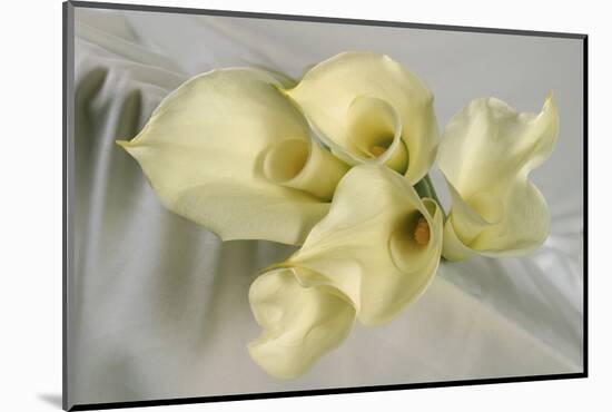 Calla Lily-Anna Miller-Mounted Photographic Print