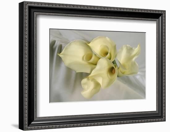 Calla Lily-Anna Miller-Framed Photographic Print