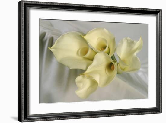 Calla Lily-Anna Miller-Framed Photographic Print