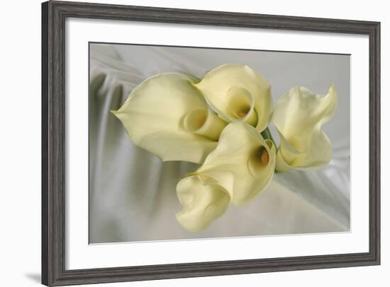 Calla Lily-Anna Miller-Framed Photographic Print