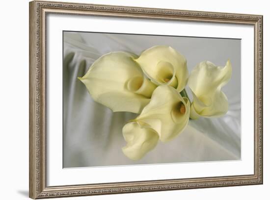 Calla Lily-Anna Miller-Framed Photographic Print