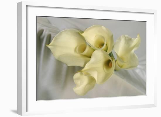 Calla Lily-Anna Miller-Framed Photographic Print