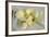 Calla Lily-Anna Miller-Framed Photographic Print