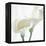 Calla Lily-Anna Miller-Framed Premier Image Canvas