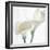 Calla Lily-Anna Miller-Framed Photographic Print