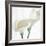 Calla Lily-Anna Miller-Framed Photographic Print