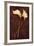 Calla Lily-Den Reader-Framed Photographic Print