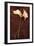 Calla Lily-Den Reader-Framed Photographic Print