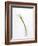 Calla Lily-Anna Miller-Framed Photographic Print