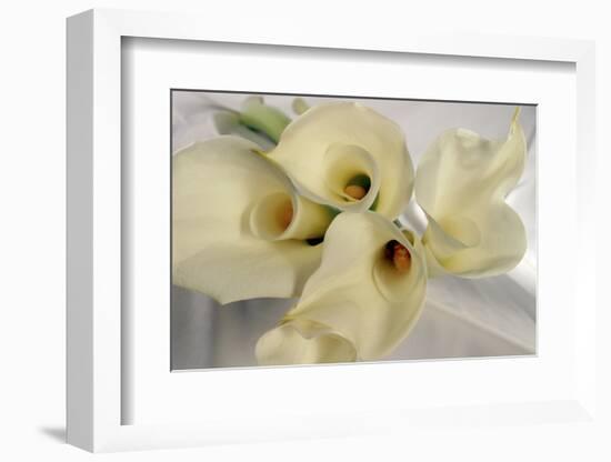 Calla Lily-Anna Miller-Framed Photographic Print