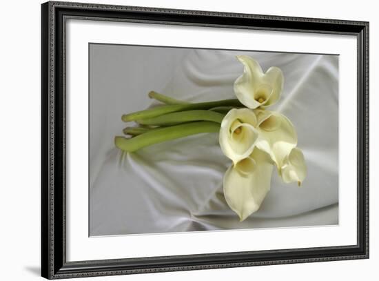 Calla Lily-Anna Miller-Framed Photographic Print