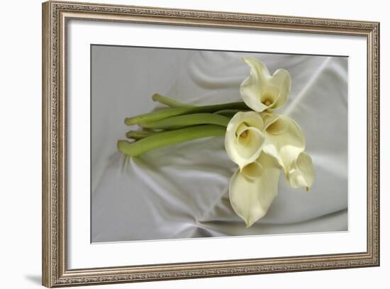 Calla Lily-Anna Miller-Framed Photographic Print