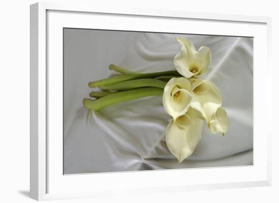 Calla Lily-Anna Miller-Framed Photographic Print