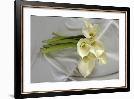 Calla Lily-Anna Miller-Framed Photographic Print