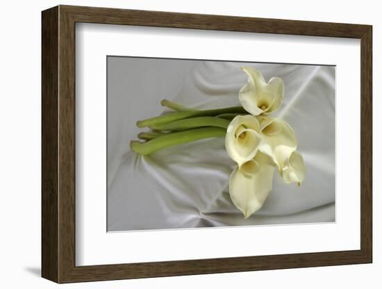 Calla Lily-Anna Miller-Framed Photographic Print