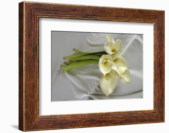 Calla Lily-Anna Miller-Framed Photographic Print