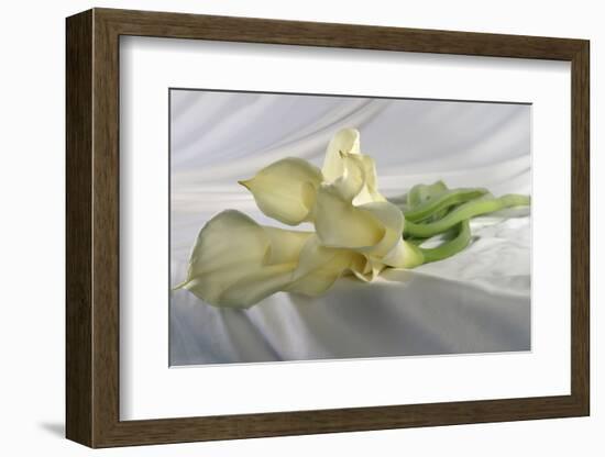 Calla Lily-Anna Miller-Framed Photographic Print