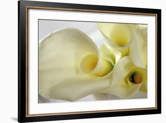 Calla Lily-Anna Miller-Framed Photographic Print