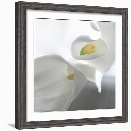 Calla Lily-Anna Miller-Framed Photographic Print