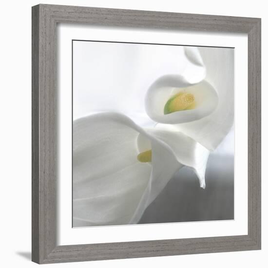 Calla Lily-Anna Miller-Framed Photographic Print