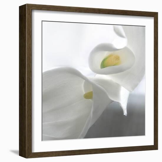 Calla Lily-Anna Miller-Framed Photographic Print