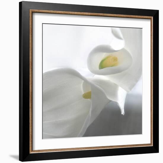 Calla Lily-Anna Miller-Framed Photographic Print