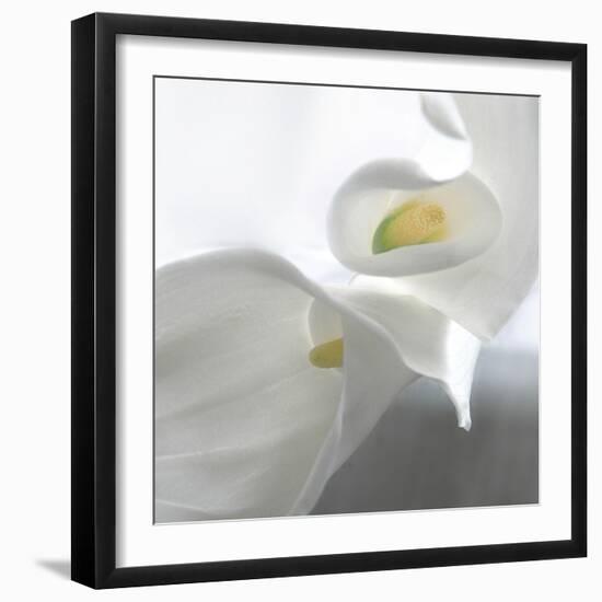 Calla Lily-Anna Miller-Framed Photographic Print