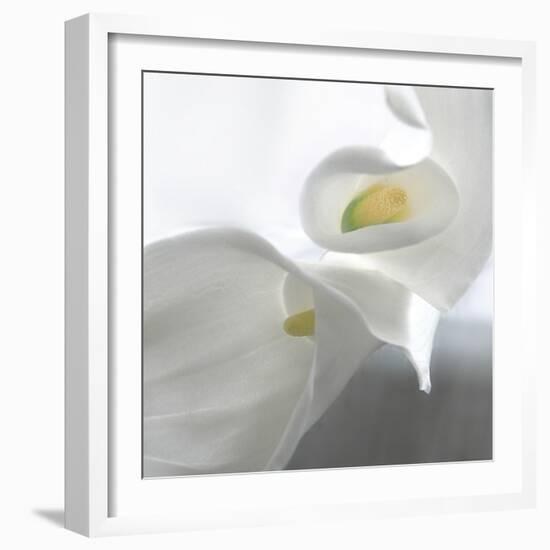 Calla Lily-Anna Miller-Framed Photographic Print