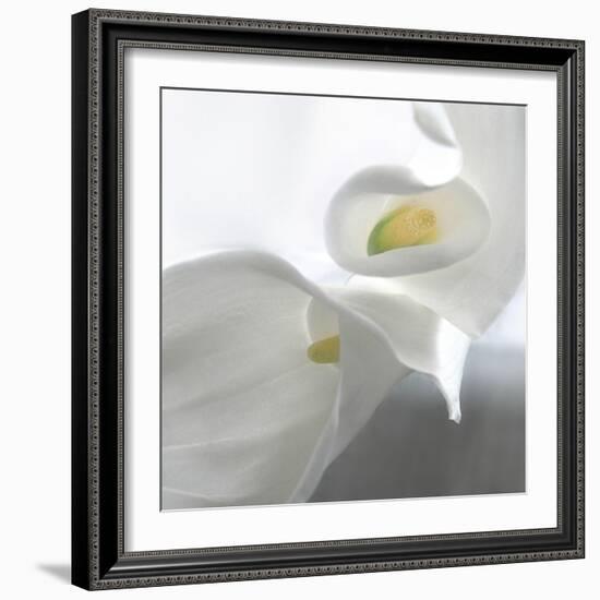 Calla Lily-Anna Miller-Framed Photographic Print