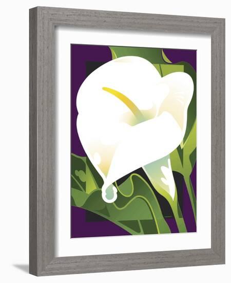 Calla Lily-David Chestnutt-Framed Giclee Print