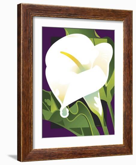 Calla Lily-David Chestnutt-Framed Giclee Print