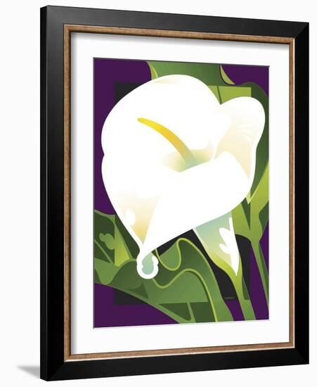 Calla Lily-David Chestnutt-Framed Giclee Print