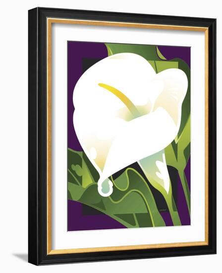 Calla Lily-David Chestnutt-Framed Giclee Print