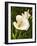 Calla Lily-Vessela G.-Framed Giclee Print