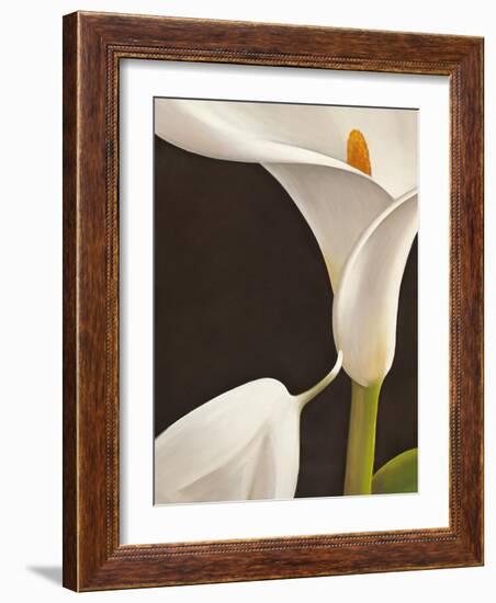 Calla moderna I-Serena Biffi-Framed Art Print