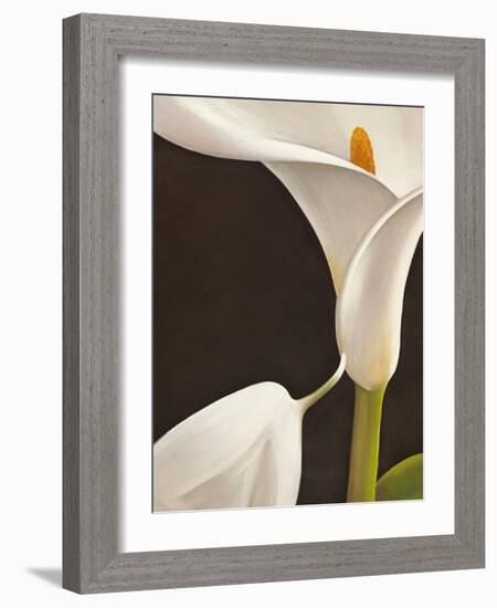 Calla moderna I-Serena Biffi-Framed Art Print