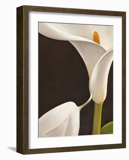 Calla moderna I-Serena Biffi-Framed Art Print