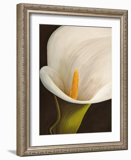 Calla moderna II-Serena Biffi-Framed Art Print