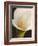 Calla moderna II-Serena Biffi-Framed Art Print