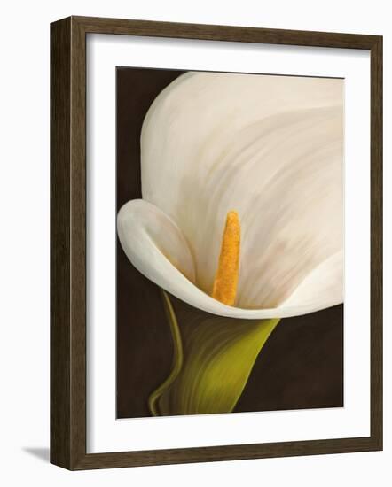 Calla moderna II-Serena Biffi-Framed Art Print