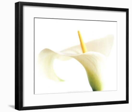 Calla on White-Den Reader-Framed Art Print