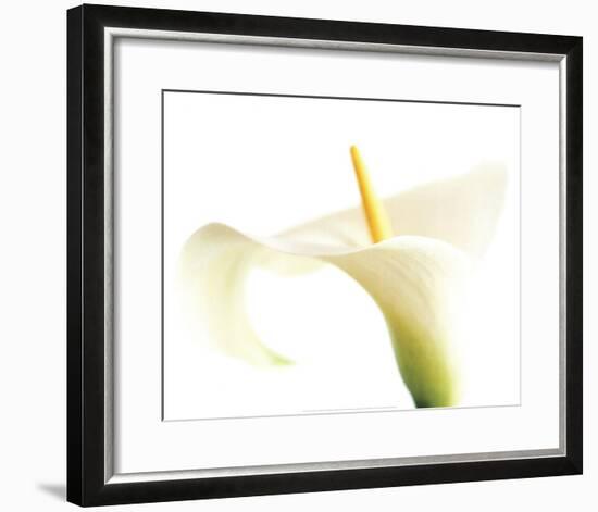 Calla on White-Den Reader-Framed Art Print